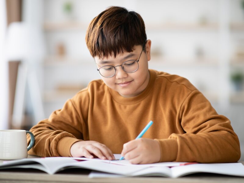 Positive asian schooler doing homework, writing at notebook