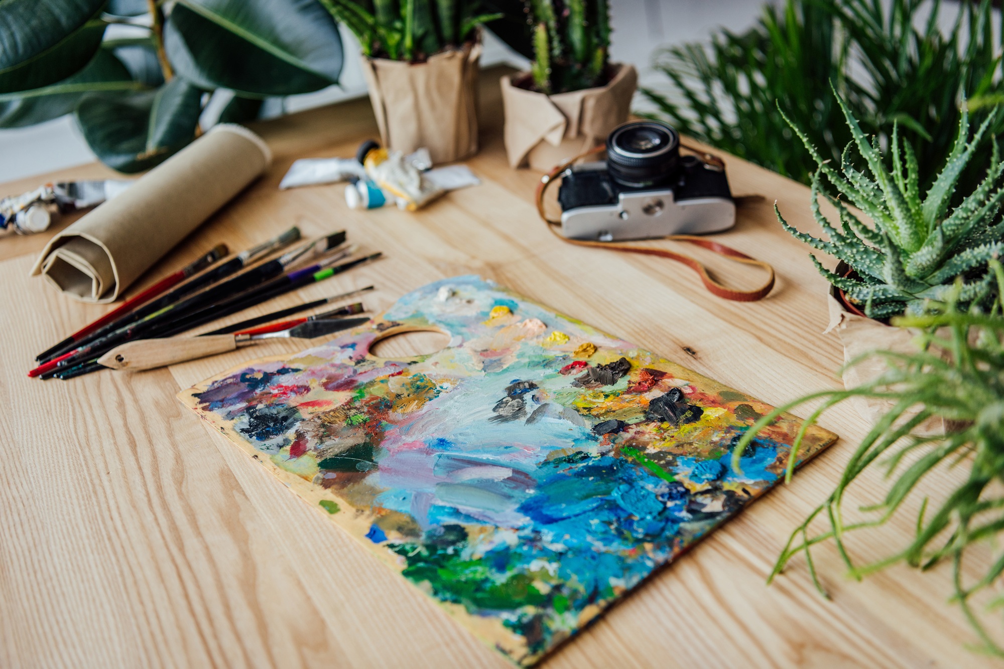 Creative workplace with art supplies, vintage camera and potted succulent plants