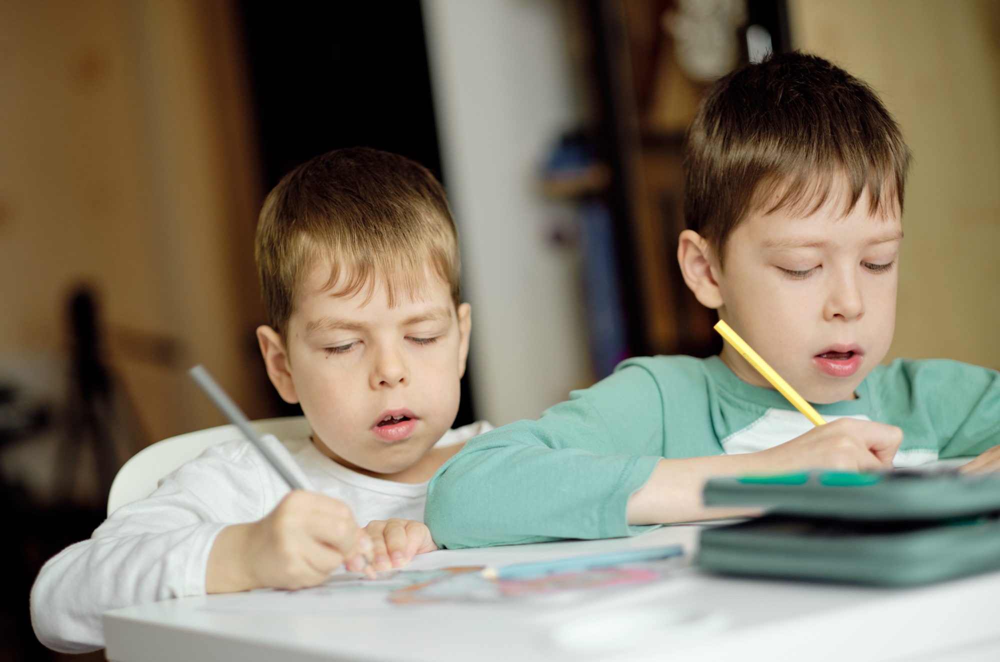 two boys draw with colored pencils sitting at the table.